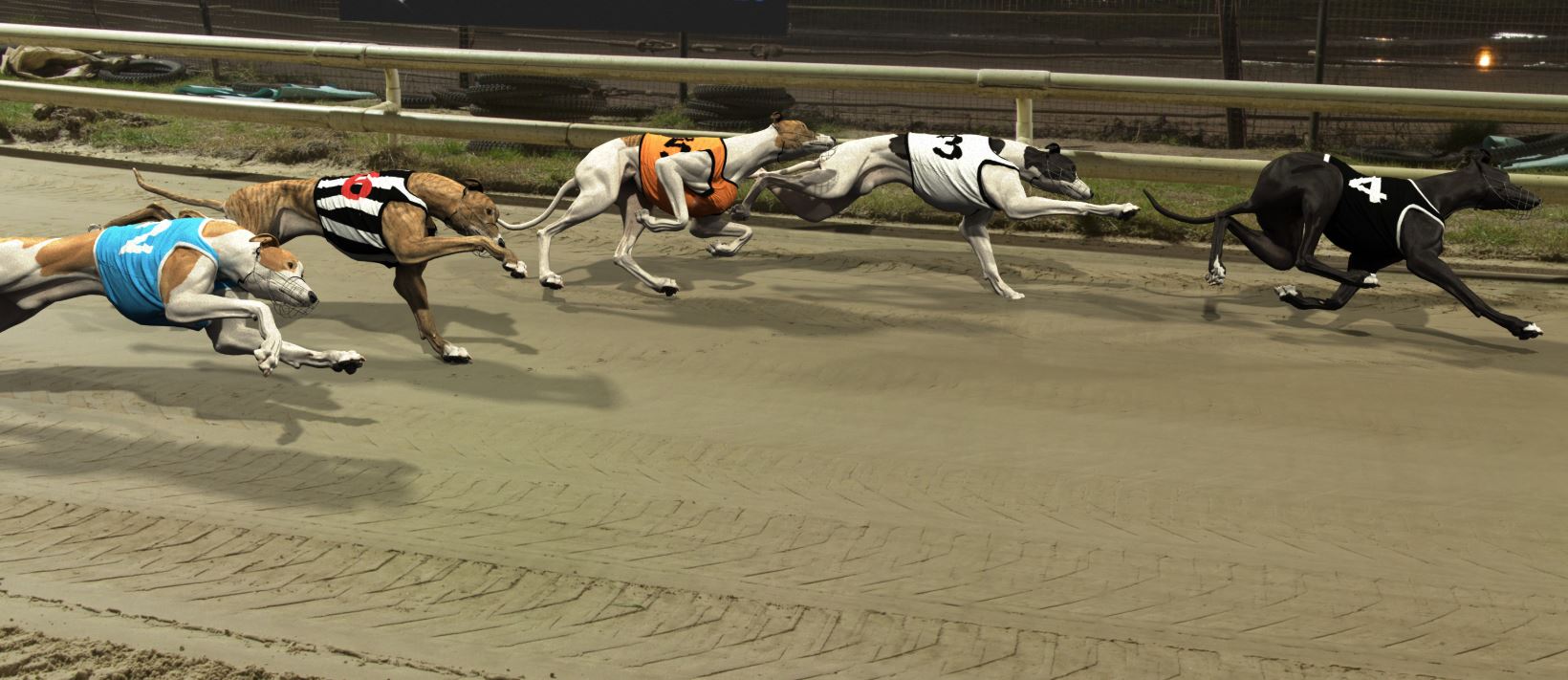 Giochi Virtuali di Cani e Levrieri: Guida Completa al Betting Online 2025